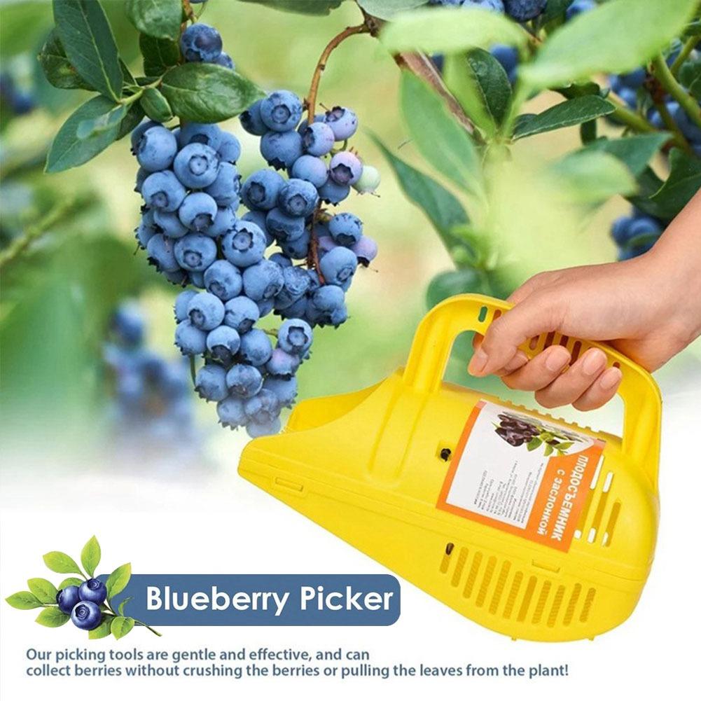 Gardening Tools You Must Have - Gemakkelijk te hanteren bosbesoogapparaat met kamtanden,