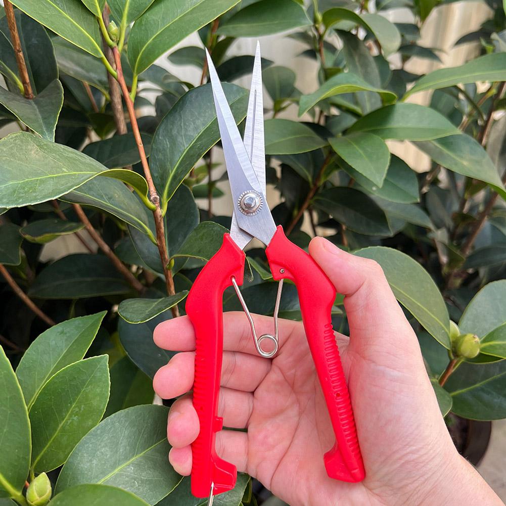Gardening Tools Combo - Pro Garden snoeischaar Verlengde boom- en