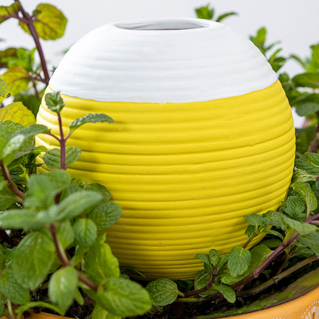 Automatische plantenbewatering - Gardening Tools You Must Have recensie en prijs