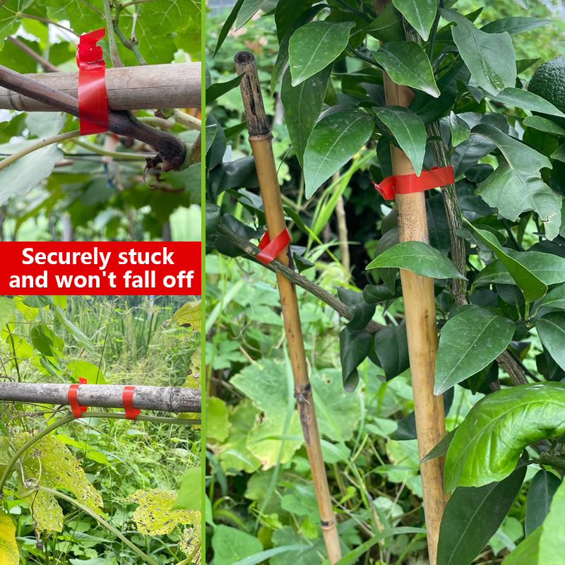 Tuinplanten Takkenbindmachine, - Gardening Tools Kit For Home Garden recensie en prijs