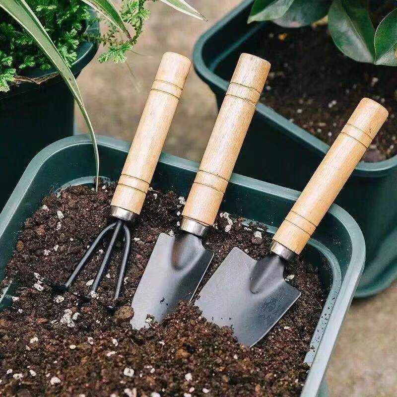 3PC/1Set Mini Tuingereedschap  - Gardening Tools Combo recensie en prijs