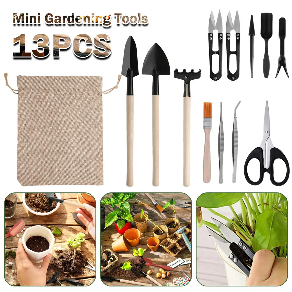 13 Stuks Sappige Planten Geree - Gardening Tools Kit For Home Garden recensie en prijs