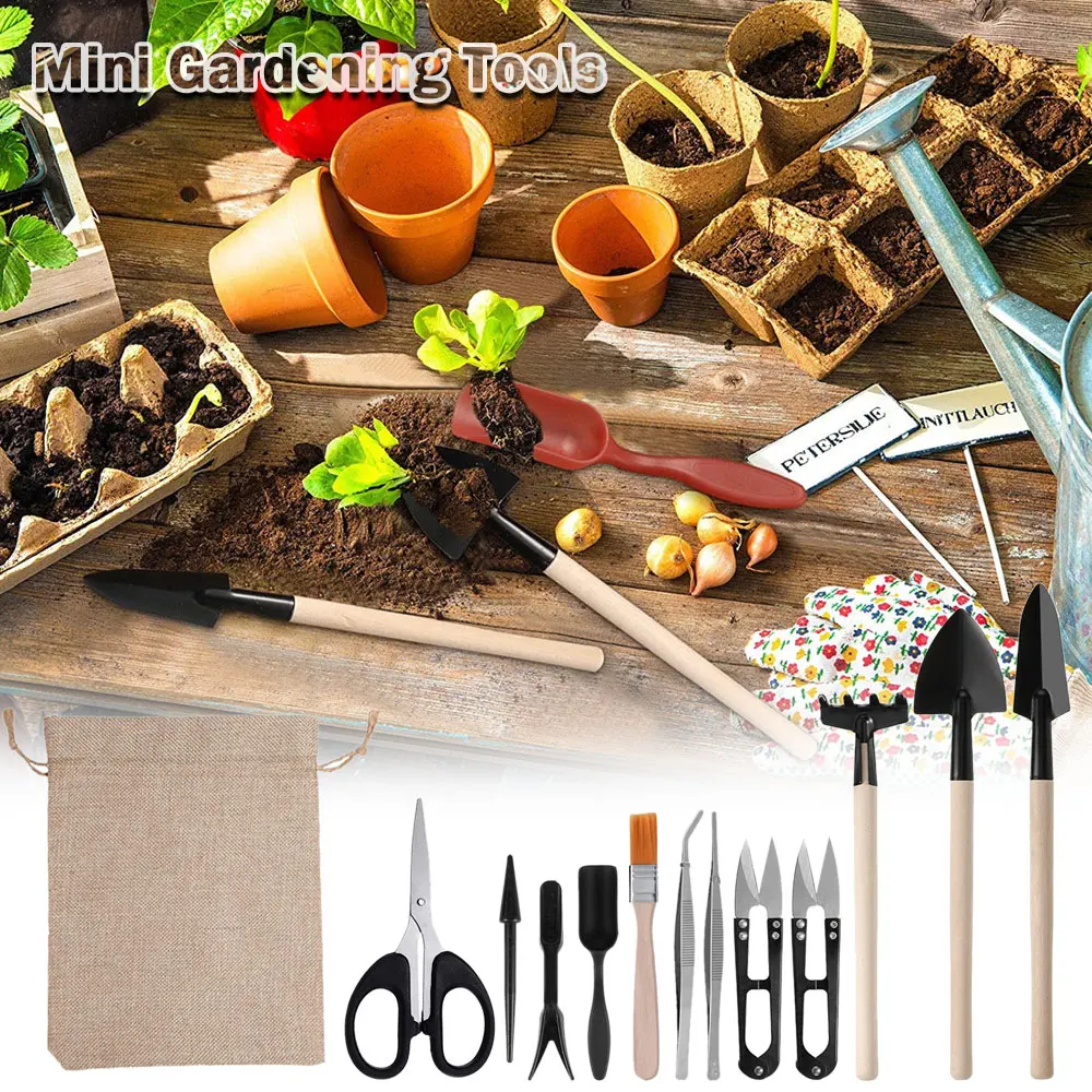 13 Stuks Sappige Planten Geree - Gardening Tools Kit For Home Garden recensie en prijs