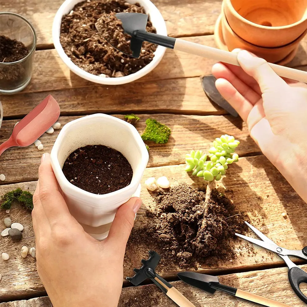 13 Stuks Sappige Planten Geree - Gardening Tools Kit For Home Garden recensie en prijs