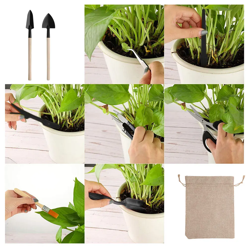 13 Stuks Sappige Planten Geree - Gardening Tools Kit For Home Garden recensie en prijs