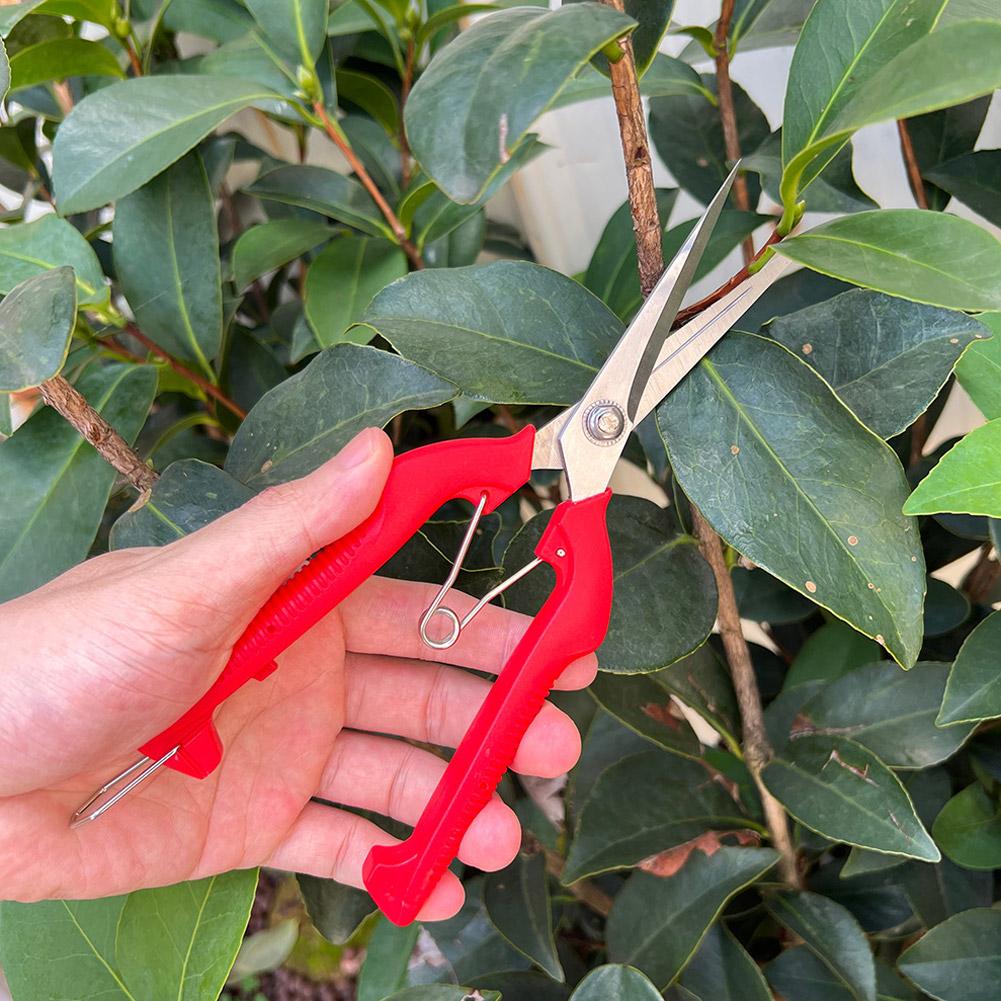 Pro Garden snoeischaar Verleng - Gardening Tools Combo recensie en prijs