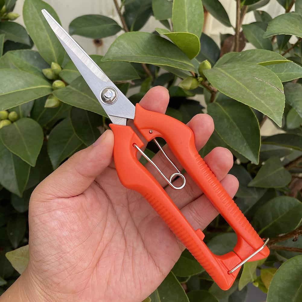 Pro Garden snoeischaar Verleng - Gardening Tools Combo recensie en prijs