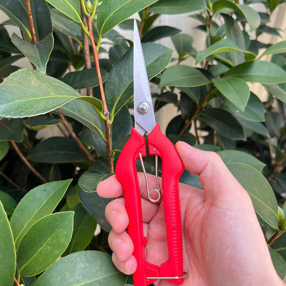 Pro Garden snoeischaar Verleng - Gardening Tools Combo recensie en prijs