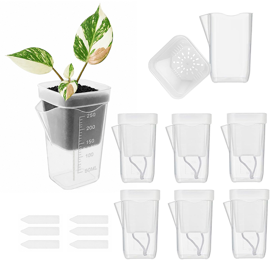 12/24-delige zelfwaterende suc - Gardening Tools Kit For Home Garden recensie en prijs