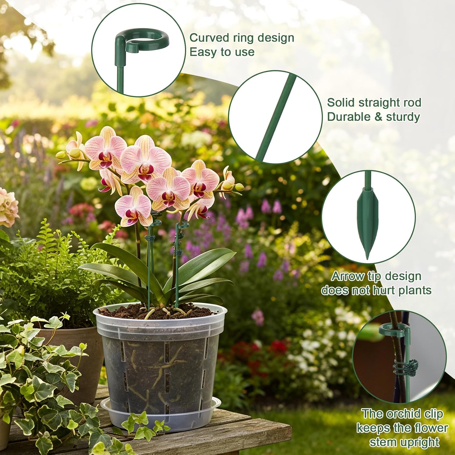 5/10 Stuks Plant Ondersteuning - Gardening Tools Holder recensie en prijs