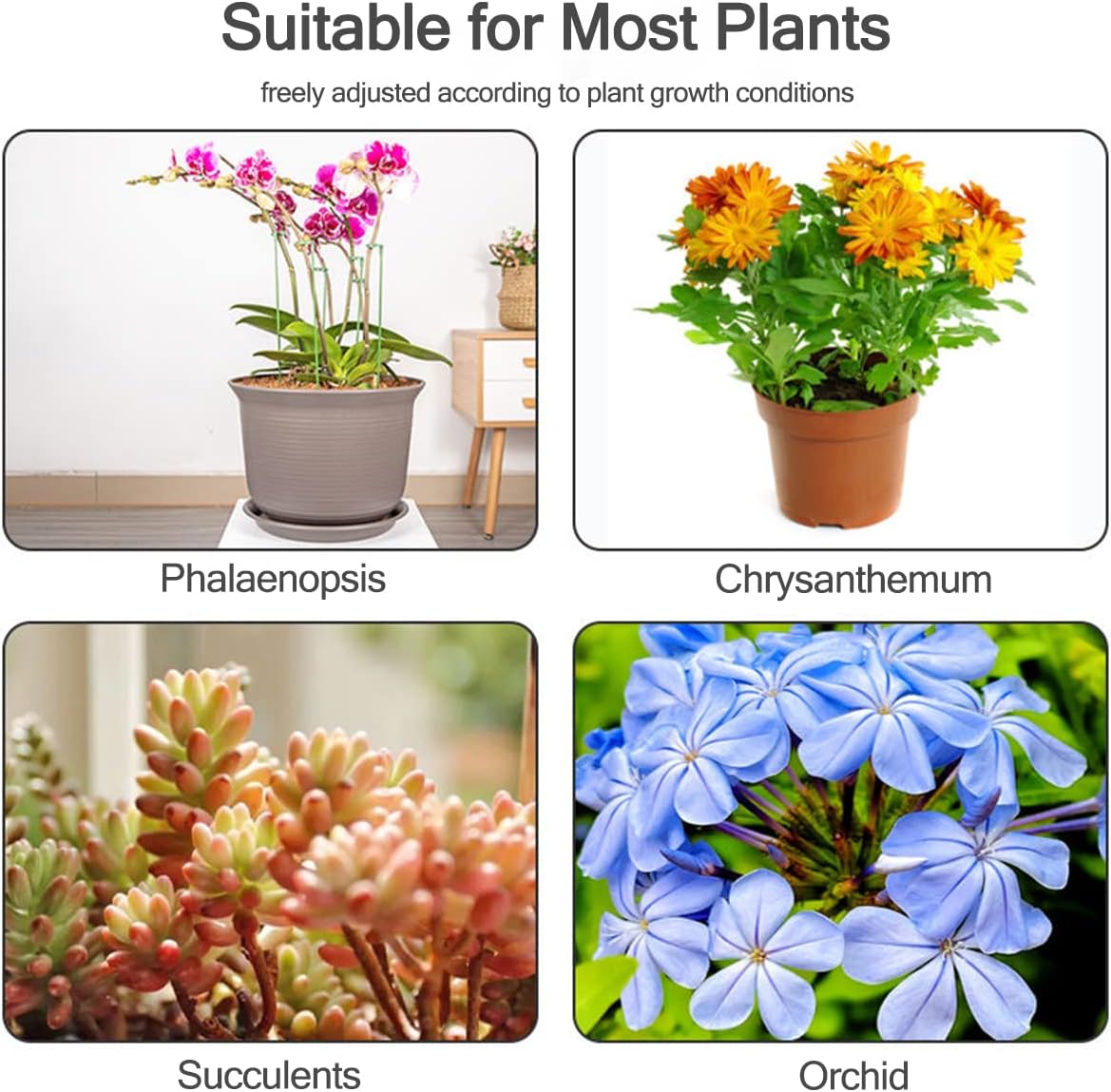 5/10 Stuks Plant Ondersteuning - Gardening Tools Holder recensie en prijs