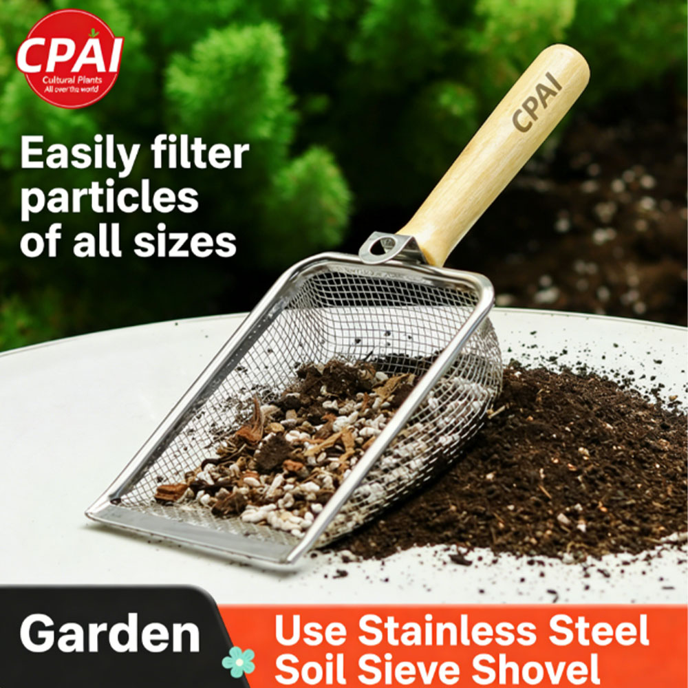 Onmisbare grondzeef, roestvrij - Gardening Tools You Must Have recensie en prijs